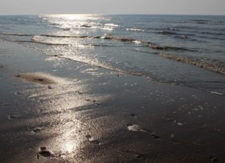 Nordsee in Dänemark – Der Urlaub zum Entspannen